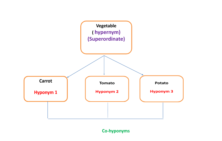 hyponymy