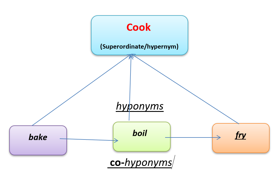 hyponymy for cook