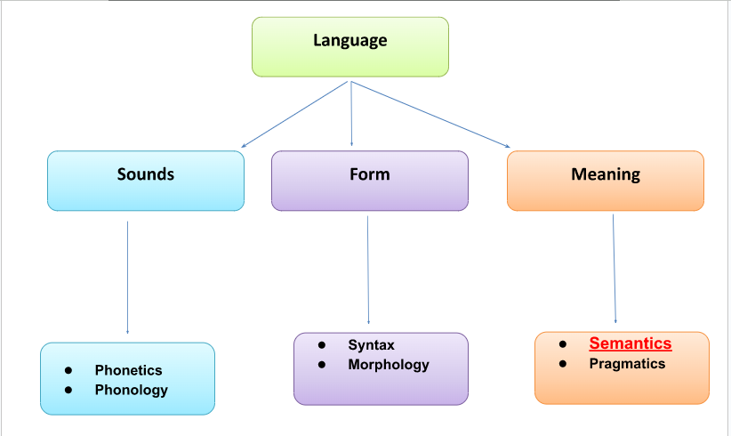 language diagram